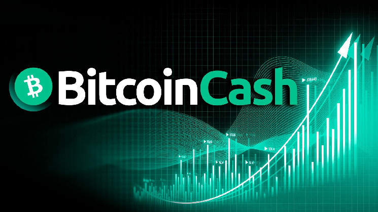 ارتفع سعر بيتكوين كاش (BCH) بنسبة ١٧٪، ووصلت الفائدة المفتوحة إلى ٥٠٠ مليون دولار قبل أن تنخفض إلى النصف