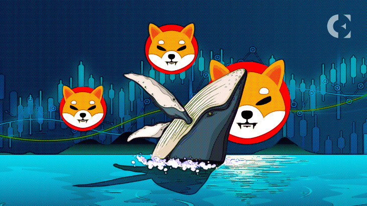 عاجل: حوت Shiba Inu يثير الجنون من خلال تراكم SHIB الضخم