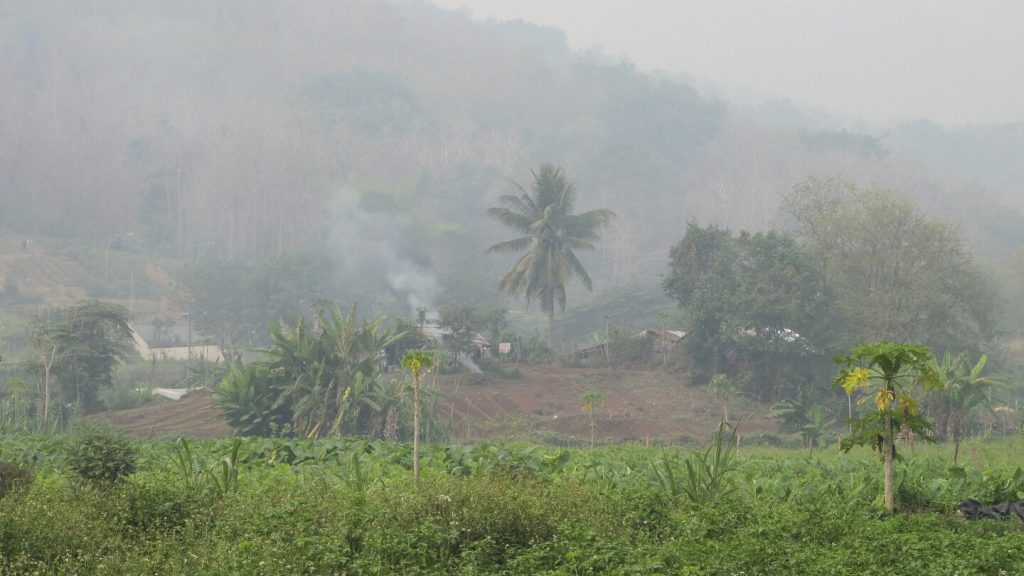 ينهى القادة الماليون لرابطة دول جنوب شرق آسيا اجتماعاتهم في لاوس، مشيرين إلى التحديات الناجمة عن الجغرافيا السياسية والأسعار المتقلبة