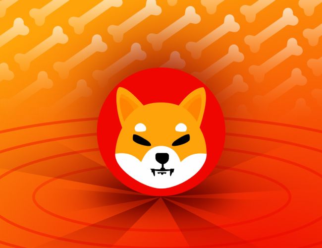 أعلنت D3 Global عن الإطلاق التجريبي لسوق D3 لتجارة رموز اسم Shiba Inu