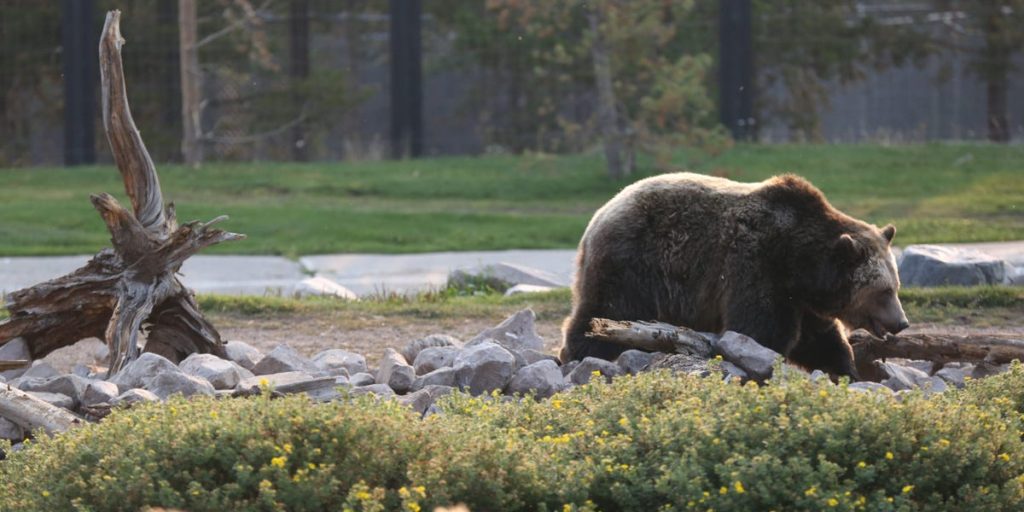يقول مدير الصندوق الشهير إن الأسهم مهيأة للانخفاض في سوق هابطة حيث دفع المستثمرون الصعوديون الأسهم إلى أقصى الحدود في عام 1929