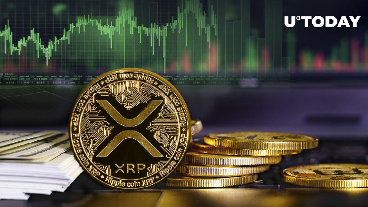أصبحت XRP الأصول الأكثر مناقشة في السوق، وإليكم السبب