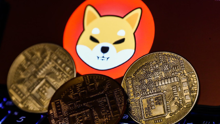 توقعات أسعار Shiba Inu: يتطلع المحللون إلى 0.00017 دولار وسط تقلبات سوق العملات المشفرة