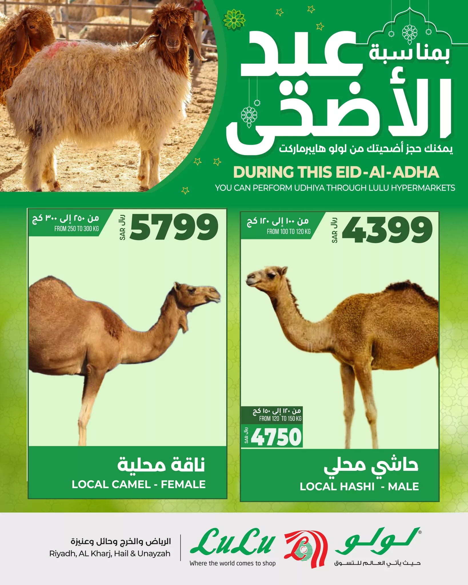 عروض و اسعار ذبائح عيد الاضحي المبارك في السعودية | اقل الاسعار 7 441890200 459346663284794 1555720761073001362 n jpg 1 - عروض و اسعار ذبائح عيد الاضحي المبارك في السعودية | اقل الاسعار