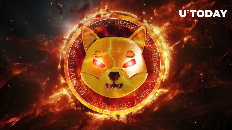 ينهار SHIB في المقياس الرئيسي وسط انخفاض السعر إلى أقل من 0.00002 دولار