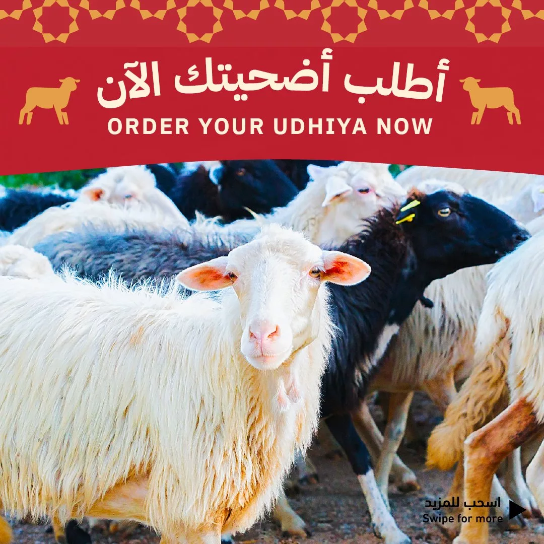 عروض و اسعار ذبائح عيد الاضحي المبارك في السعودية | اقل الاسعار 2 GPFTMv5WkAAYgyT 119716403 jpg - عروض و اسعار ذبائح عيد الاضحي المبارك في السعودية | اقل الاسعار