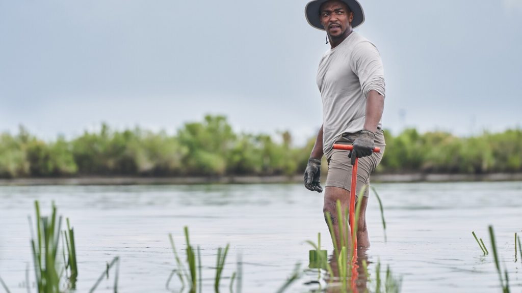 لا حاجة للدرع: القوة الخارقة التي يتمتع بها نجم “كابتن أميركا” أنتوني ماكي هي السباحة مع أسماك القرش