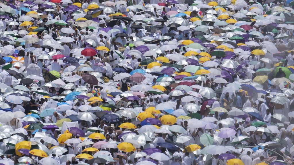 لمحة مناخية: تؤدي الحرارة الحارقة في نصف الكرة الشمالي إلى الوفيات وحرائق الغابات