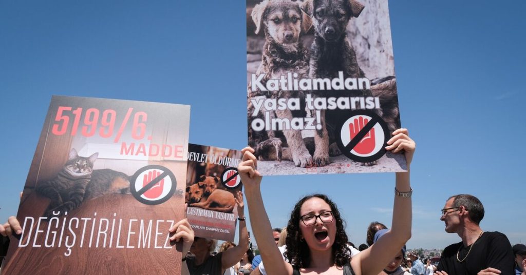 تركيا تقر مشروع قانون مثير للجدل بشأن الكلاب الضالة وسط مخاوف من إعدام جماعي وشيك