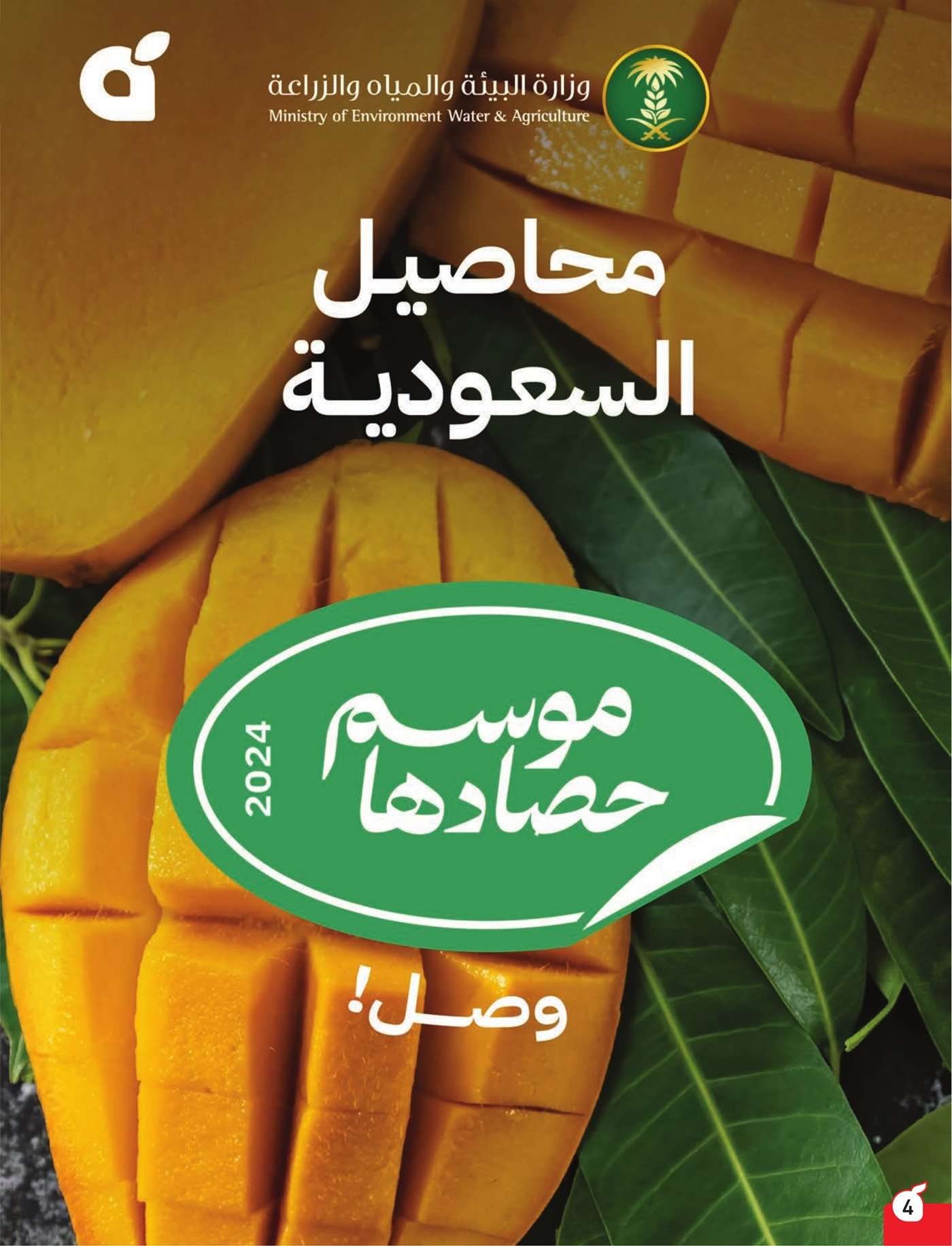 Kiv7sJ - عروض بنده الاسبوعية صفحة واحدة الاربعاء 17 يوليو 2024 | أقوي عروض الـ 5.10.15 ريال