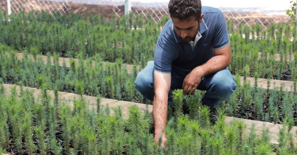 إنقاذ الغابات المختفية في إقليم كردستان العراق