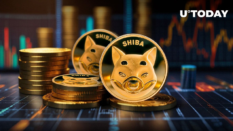 شيبا إينو 1.28 تريليون في 24 ساعة: هل عاد SHIB؟