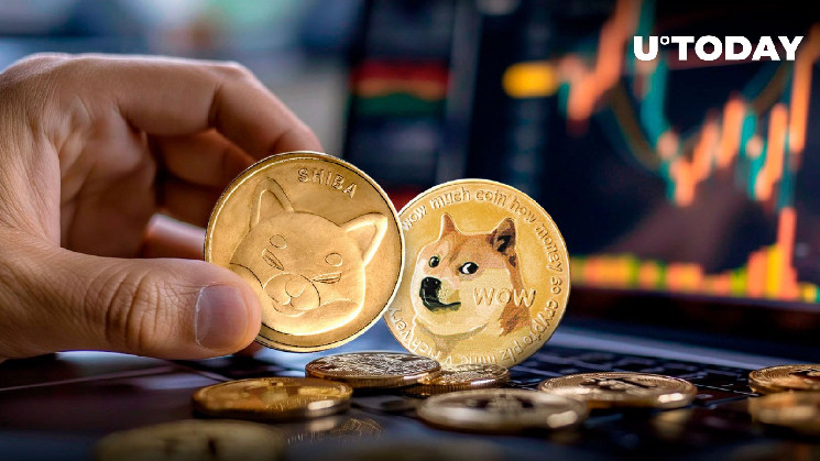 مؤسس Dogecoin يصدر بيانًا غير متوقع عن Shiba Inu