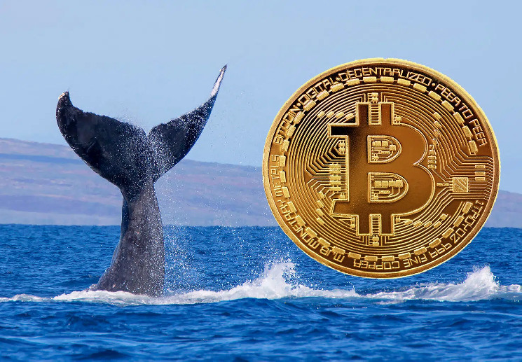 محللو CryptoQuant يكتشفون انخفاضًا في أصول Bitcoin Whale، وفقًا للبيانات الموجودة على السلسلة!