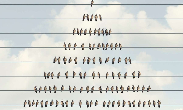 رفعت لجنة الأوراق المالية والبورصات دعوى قضائية ضد Georgia Brothers بتهمة ارتكاب مخطط بونزي للعملات المشفرة بقيمة 60 مليون دولار