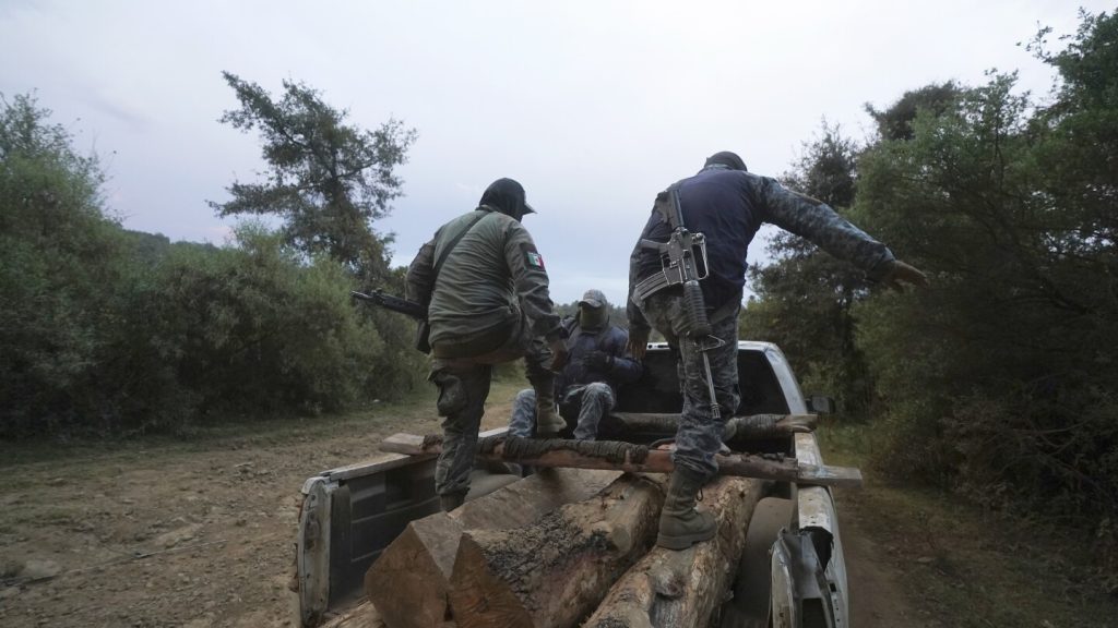 الشرطة التقليدية وشرطة المجتمعات الأصلية في المكسيك تتعرض لانتقادات شديدة من عصابات المخدرات