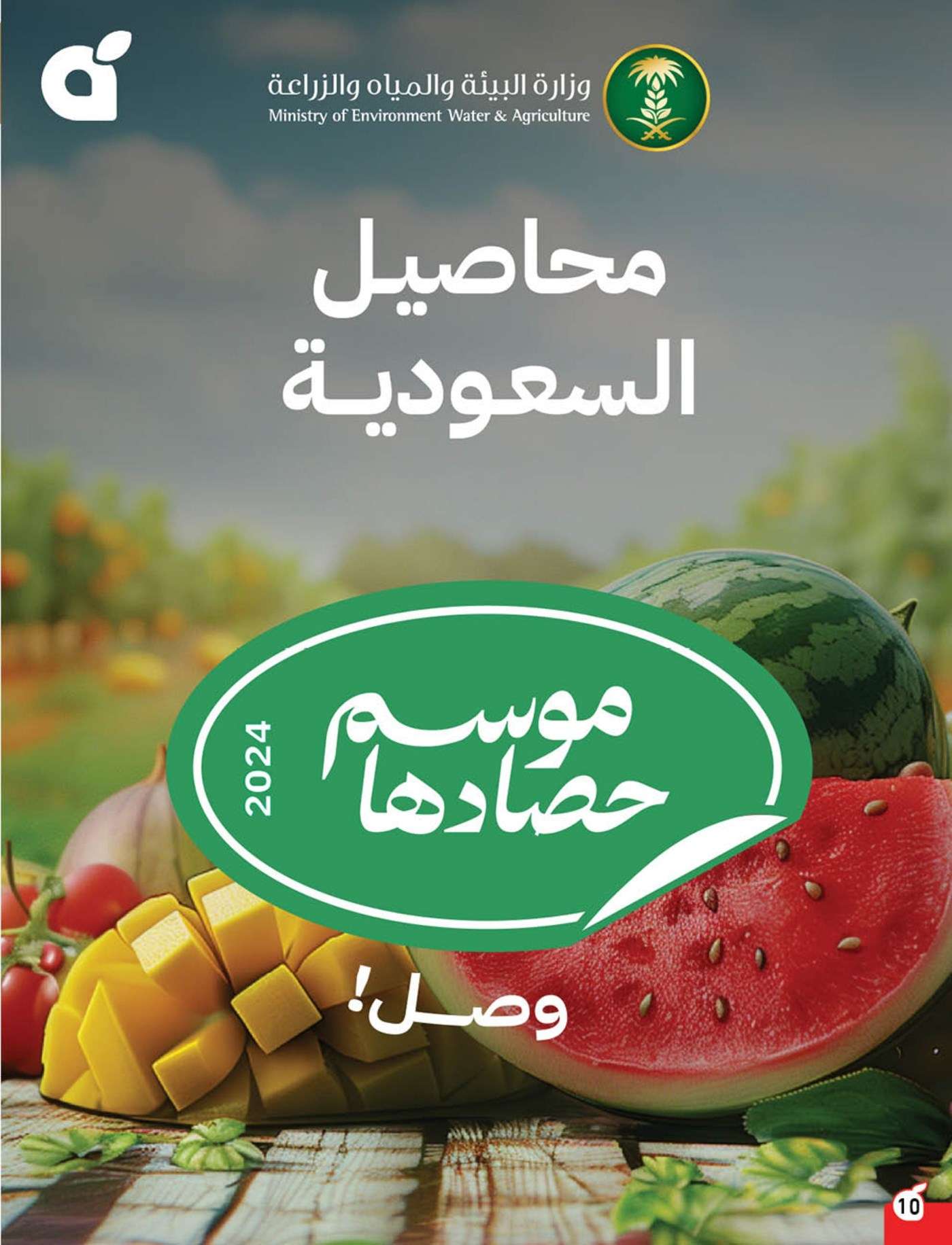 - عروض بنده الاسبوعية صفحة واحدة الاربعاء 21 اغسطس 2024 | العودة للمدارس