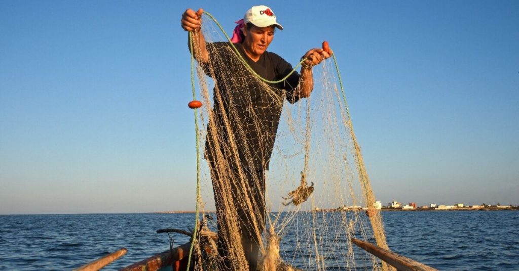 صيادات تونس يكافحن عدم المساواة وتغير المناخ