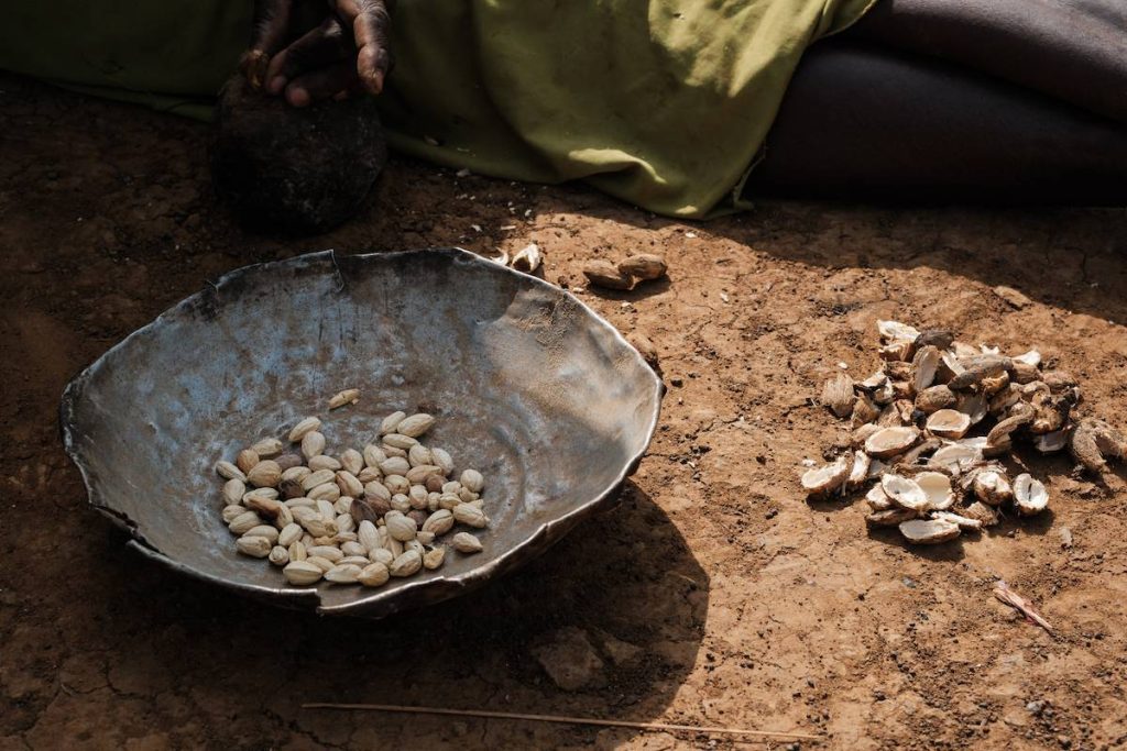 تركيا تتبرع بالبذور والأدوات الزراعية للمزارعين في جنوب السودان