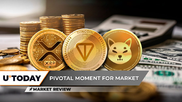 شيبا إينو (SHIB) تشهد انعكاسًا حاسمًا، وتونكوين (TON) تُرفض بشدة: ماذا يحدث؟ XRP تشكل نمط مثلث بالغ الأهمية