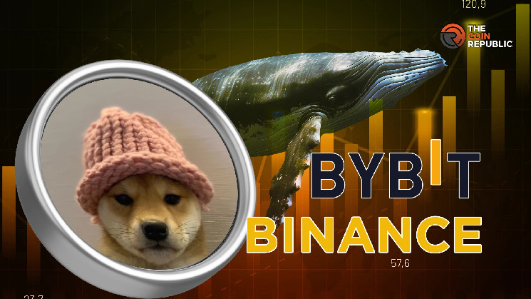 دوجويفهات (WIF) تستعد للارتفاع؟ الحيتان تجمع 33.35 مليون دولار، ما هو التالي؟