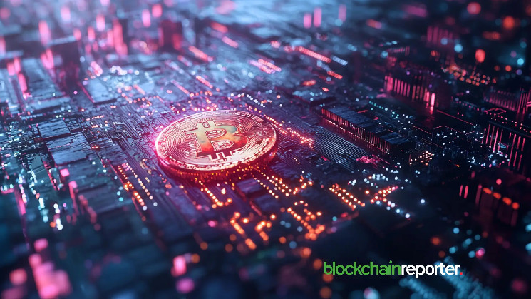 حيتان البيتكوين لا تتأثر بتقلبات السوق، وتستمر في تجميع البيتكوين