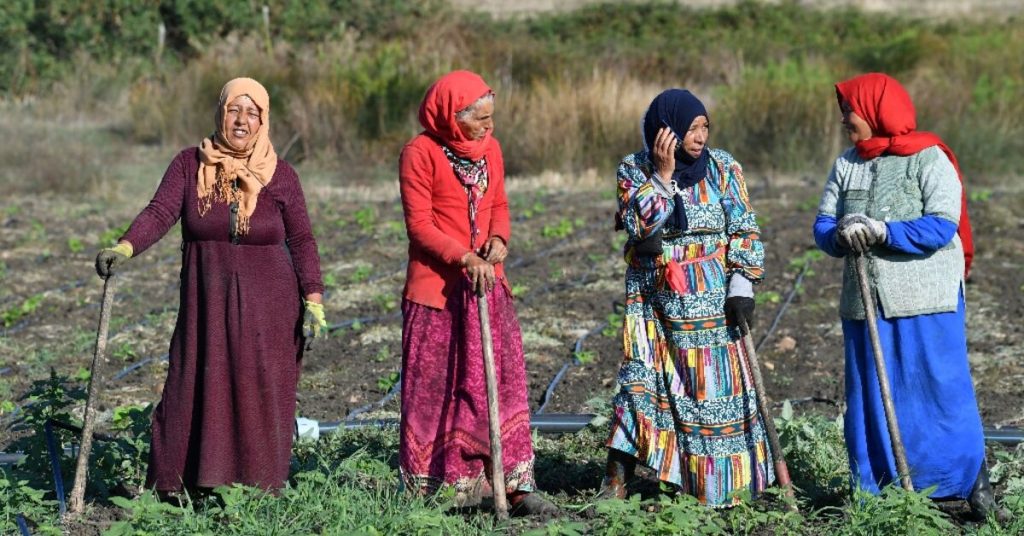 الفقر والتضخم يغذيان اليأس في تونس قبل الانتخابات