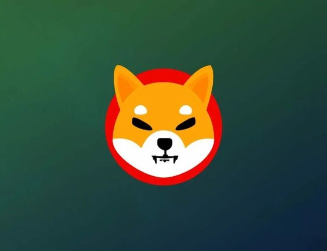 قد يقفز سعر Shiba Inu بنسبة 200% إلى 0.00006 دولار في أكتوبر، وإليك السبب