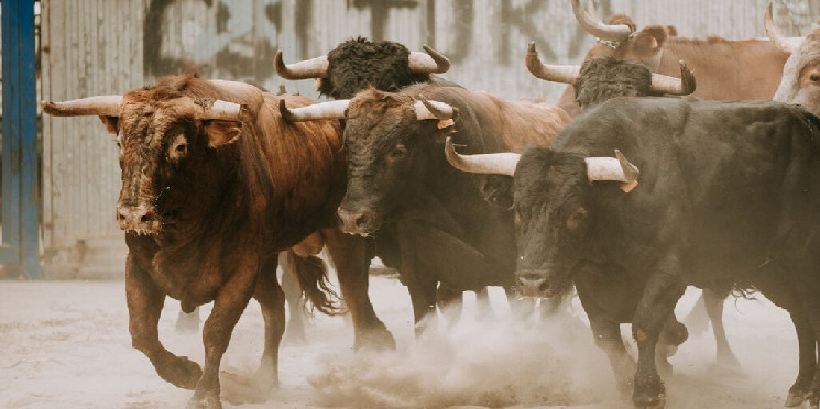 عودة العملات المشفرة: هل سيستمر ارتفاع الأسعار؟