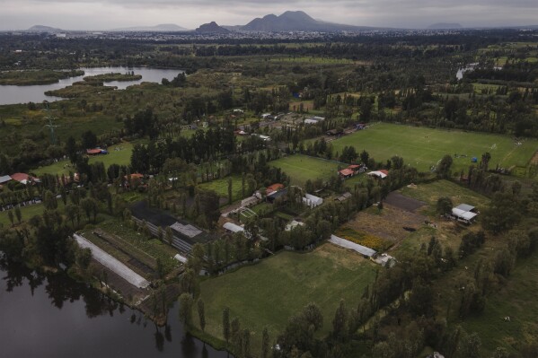 الحدائق العائمة الأجداد مرئية بجوار حقول كرة القدم الجديدة على بحيرة Xochimilco في مكسيكو سيتي ، 20 أكتوبر 2024. (AP Photo/Felix Marquez ، ملف)