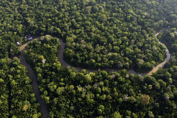 خطوط الغابات The Combu Creek ، في جزيرة كومبو على ضفاف نهر غواما ، بالقرب من مدينة بيليم ، ولاية بارا ، البرازيل ، 6 أغسطس ، 2023. (AP Photo/Eraldo Peres ، ملف)