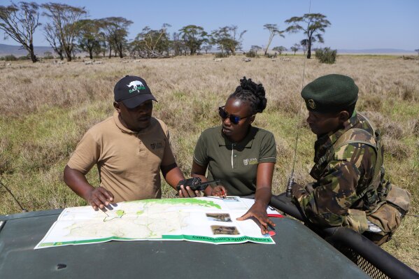 رينجرز مراجعة خريطة خلال عدد الحياة البرية السنوية في Lewa Wildlife Conservancy ، شمال كينيا ، الخميس ، 27 فبراير 2025 (AP Photo/Andrew Kasuku)