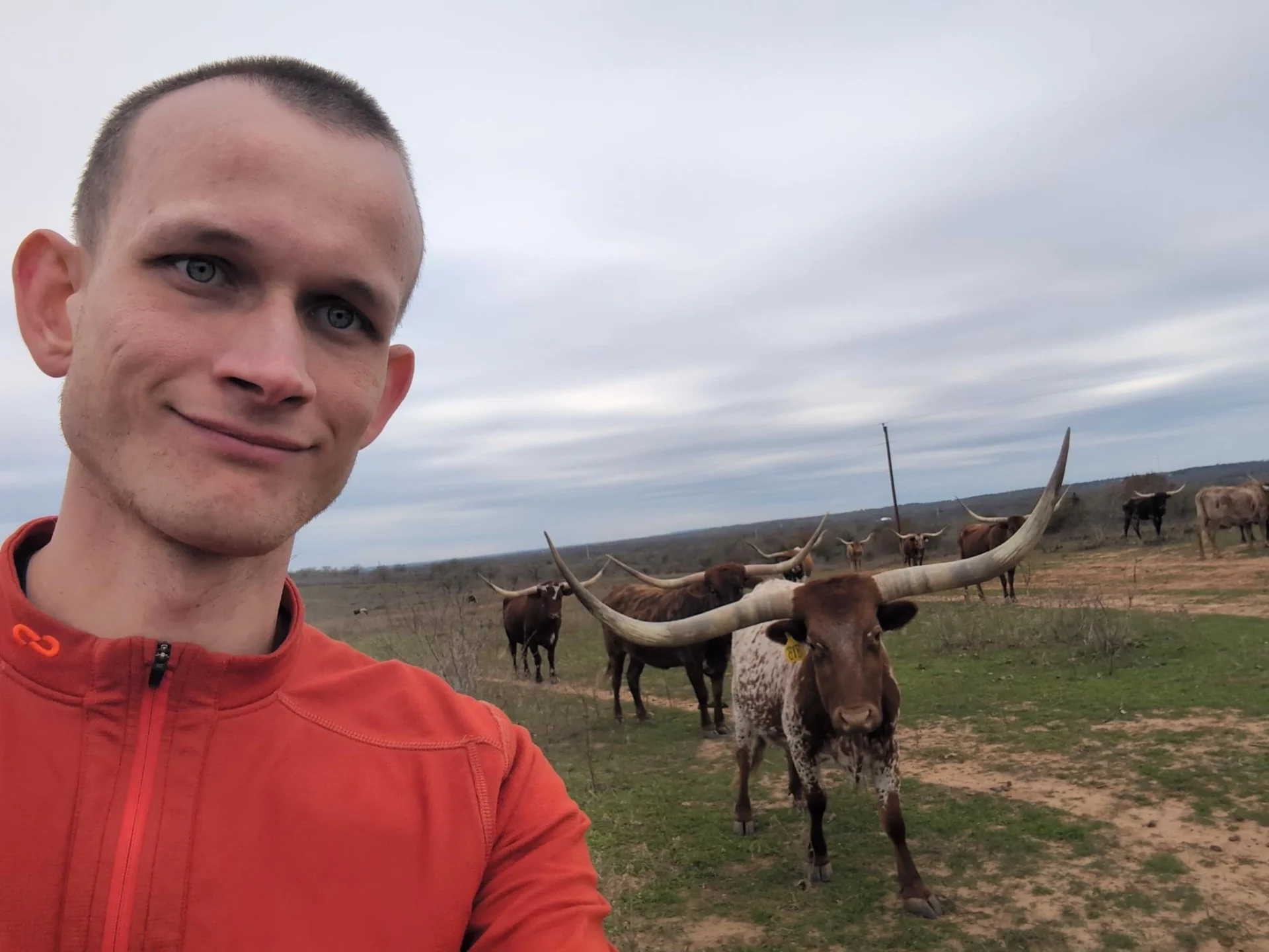 Vitalik Buterin يطرح صورة شخصية مع الماشية في حقل