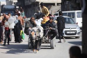 يفر الفلسطينيون ، وأخذوا بعض ممتلكاتهم معهم ، بعد أن دعا جيش الاحتلال الإسرائيلي الفلسطينيين الذين يعيشون في مناطق شرق غزة لإخلاء منازلهم مباشرة في 11 أبريل 2025 (محمد رويزو/مائي)