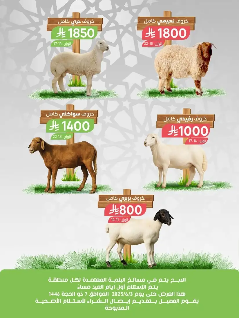 تصفح عروض اضاحى العيد فى السعودية 18 XHTwK2 1 - تصفح عروض اضاحى العيد فى السعودية