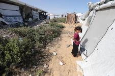 يتجه الفلسطينيون إلى ميناء بعد نزوحه مرة أخرى من الشمال من غزة تحت قصف إسرائيلي ثقيل (تصوير من قبل مو أسد)