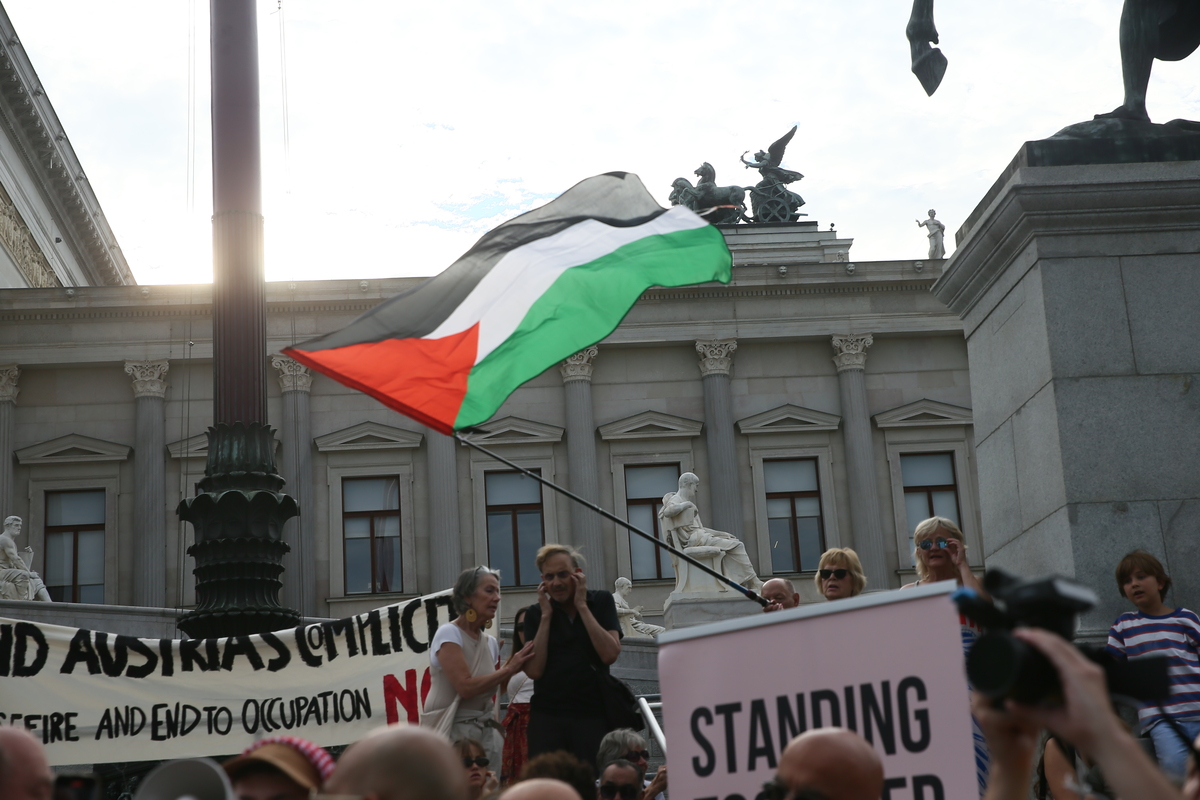 مئات من الناشطين المؤيدين للفلسطينيين يحتجون على الإبادة الجماعية لإسرائيل في غزة أمام مبنى البرلمان في فيينا ، عاصمة النمسا في 5 أغسطس 2025.