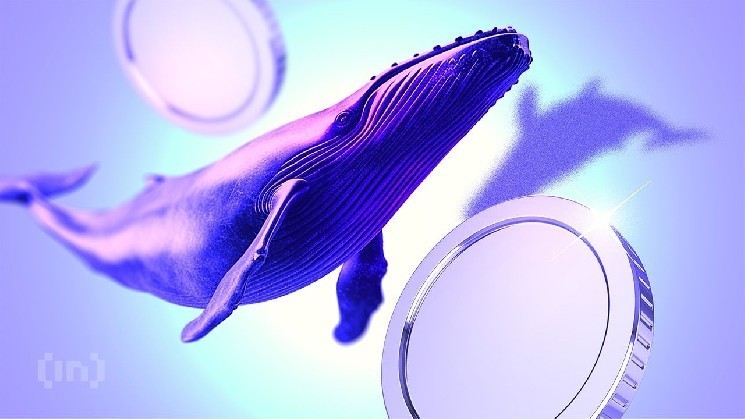 MEXC تصدر اعتذارًا علنيًا لشركة White Whale، وتعيد 3 ملايين دولار من الأموال المجمدة