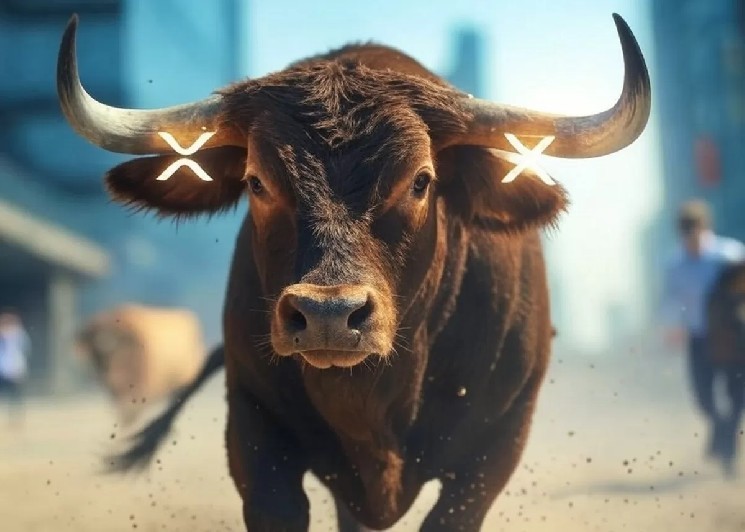 يتوقع رئيس الاستثمار في Bitwise تحقيق رقم قياسي كبير لـ XRP – “جيش XRP …”