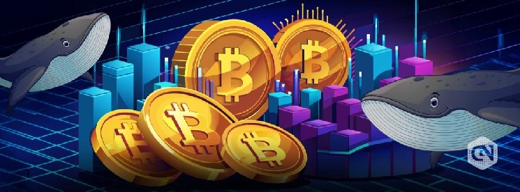 يصل سعر البيتكوين إلى منطقة النجاح أو الانهيار بعد تراجعه بنسبة 3.5٪ في أكتوبر