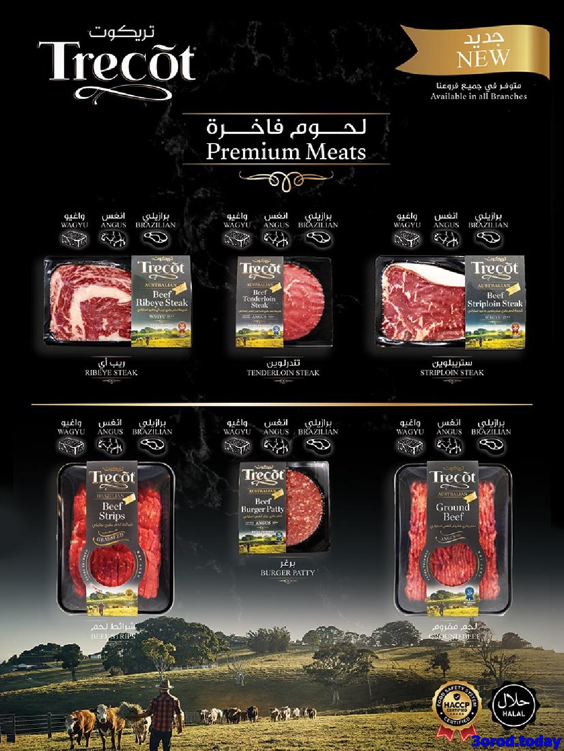 img9b79be70a1f58b678a7a74eb999dd98c - عروض بن داود جدة الاسبوعية الاربعاء 1/10/2025 - مهرجان الشاي و البسكويت