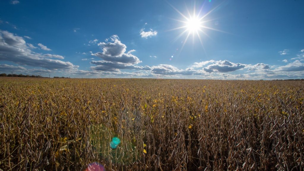 4 جمهوريين يؤيدون قرار مجلس الشيوخ بإلغاء الرسوم الجمركية التي فرضها ترامب حول العالم