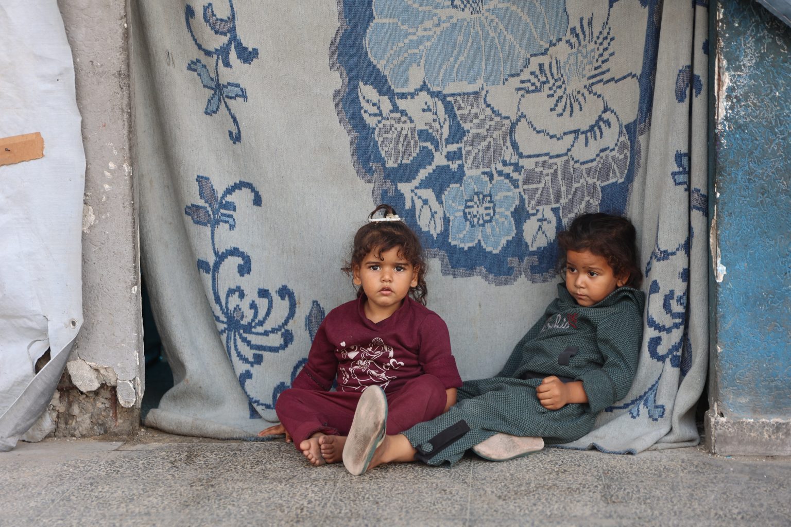 مستوطنون إسرائيليون يحرقون أراضي زراعية قرب جنين