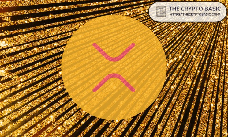 يشرح مؤسس العملات المشفرة الجزء الأصعب من امتلاك XRP