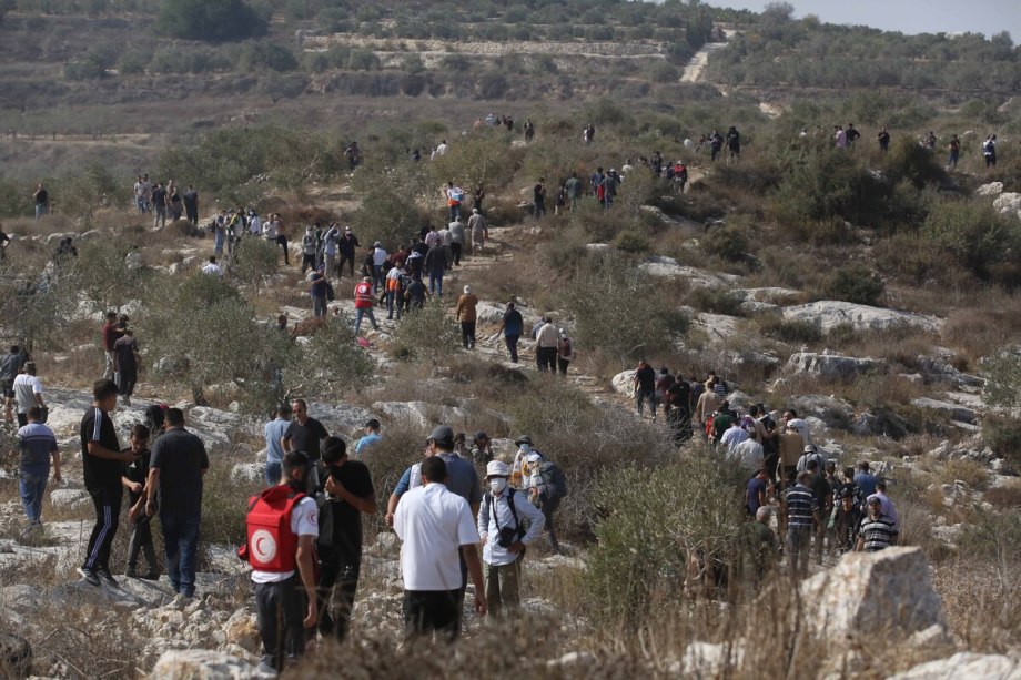 أصيب 15 فلسطينيا برصاص الجيش الإسرائيلي، وقنابل الغاز المسيل للدموع، خلال احتجاجات مناهضة للاستيطان في الضفة الغربية