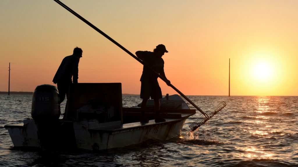 فلوريدا تعيد فتح الخليج المعروف على المستوى الوطني بمحاره