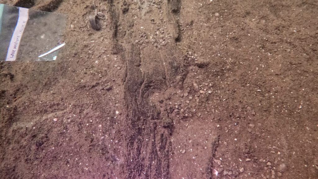 علماء الآثار في ولاية ويسكونسن يحددون 16 زورقًا قديمًا في “موقف سيارات” ببحيرة ما قبل التاريخ