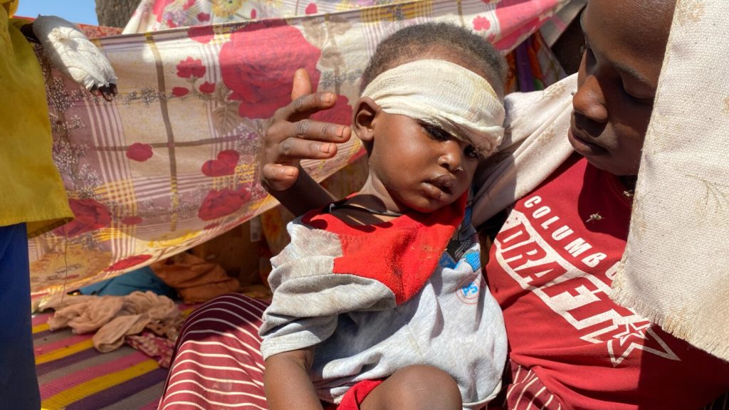 الولايات المتحدة تسعى إلى هدنة إنسانية في السودان بينما تنظر المحكمة الجنائية الدولية في أعمال العنف في الفاشر