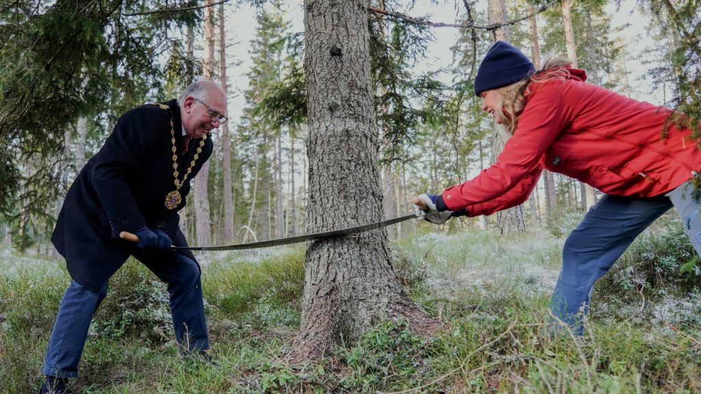 تتبرع النرويج بشجرة عيد الميلاد للندن كل عام. وهنا كيف بدأ التقليد