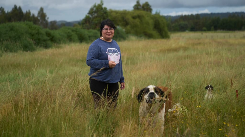 بعد قرون من الصراع، يخشى سكان المابوتشي الأصليون في تشيلي من التحول السياسي إلى اليمين المتطرف